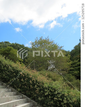 2014, Kagawa, Takamatsu, Yashima, scenery, shrine, Yashima Shrine, No. 29 125205718