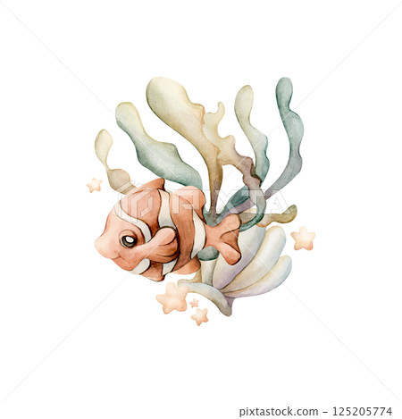 Cute Clown Fish Sea Shell Seaweed Stars. Ocean marine animal and plants. Watercolor hand painted summer illustration isolated on white background for kids nursery decor wall sticker baby shower card 125205774