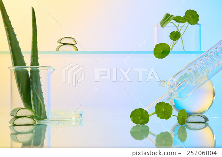 Aloe vera cut into pieces to expose the gel and flesh. Aloe vera plants with many thorns on both edges are contained in measuring cups. Gotu kola is placed in a beaker, presented on a glass surface. 125206004