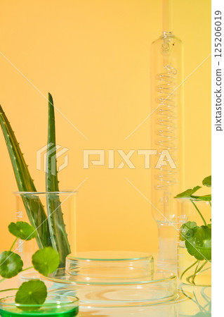 Two glass podiums are stacked on top of each other, creating an empty pedestal to place products. Aloe vera and centella are raw materials used to produce cosmetics. Light brown background.  125206019