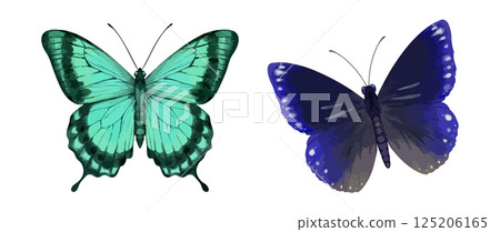 Watercolor butterfly illustration set with green and blue wings. Hand painted insect vector for wall art fashion print nature decor and packaging design 125206165