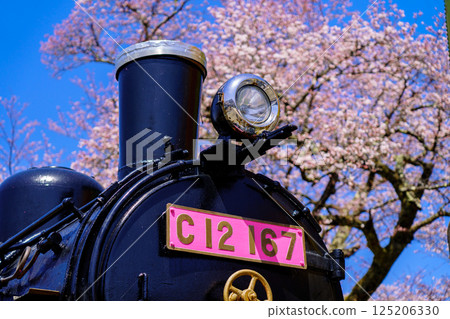 鳥取縣若狹鐵道的櫻花和蒸氣機車 125206330
