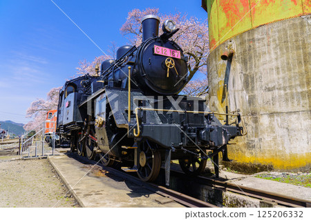 鳥取縣若狹鐵道的櫻花和蒸氣機車 125206332