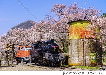 Cherry blossoms and steam locomotive, Wakasa Railway, Tottori Prefecture 125206333