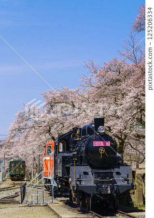 鳥取縣若狹鐵道的櫻花和蒸氣機車 鳥取縣若狹鐵道的櫻花和蒸氣機車 125206334