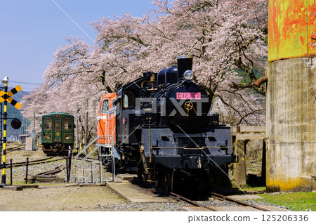 鳥取縣若狹鐵道的櫻花和蒸氣機車 125206336