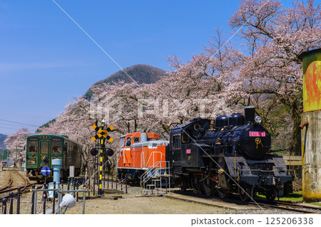 鳥取縣若狹鐵道的櫻花和蒸氣機車 125206338