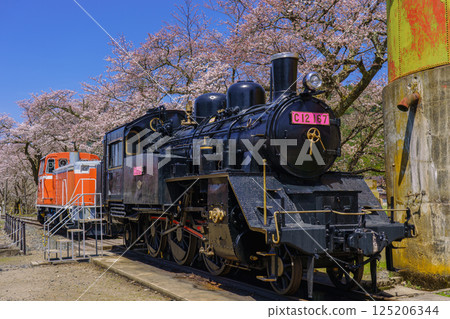 鳥取縣若狹鐵道的櫻花和蒸氣機車 鳥取縣若狹鐵道的櫻花和蒸氣機車 125206344