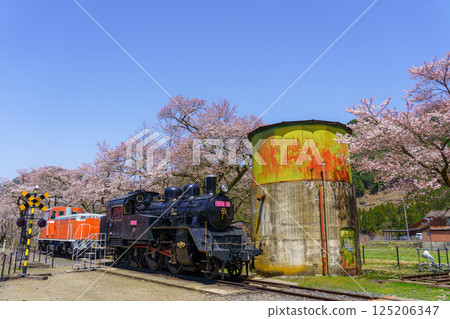 鳥取縣若狹鐵道的櫻花和蒸氣機車 125206347