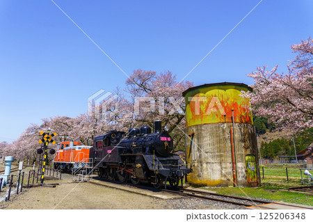 Cherry blossoms and steam locomotive, Wakasa Railway, Tottori Prefecture 125206348