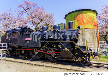 鳥取縣若狹鐵道的櫻花和蒸氣機車 125206353