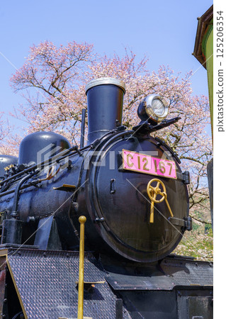 鳥取縣若狹鐵道的櫻花和蒸氣機車 鳥取縣若狹鐵道的櫻花和蒸氣機車 125206354