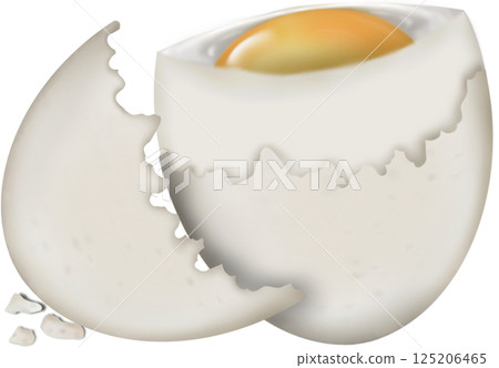 Boiled Duck eggs natural cute cartoon hand drawn Food Art illustration. 125206465