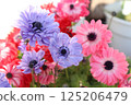 Gentle colored flowers 125206479