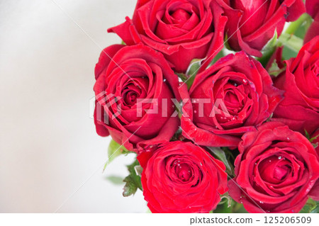 Red roses Red roses 125206509