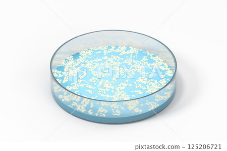 The germs in the petri dish, 3d rendering. The germs in the petri dish, 3d rendering. 125206721