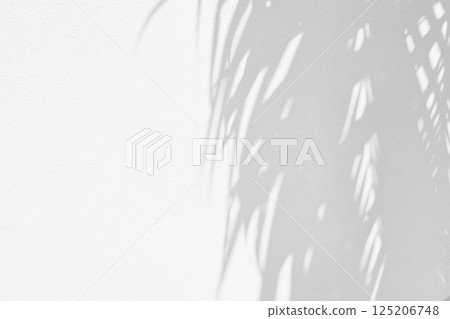 White Concrete Wall Texture Background with Light Bokeh and Shadow of Coconut Leaves on the Surface. White Concrete Wall Texture Background with Light Bokeh and Shadow of Coconut Leaves on the Surface. 125206748