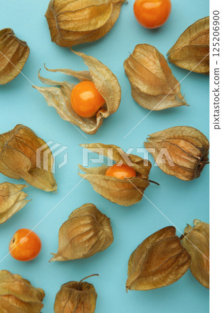 Physalis peruviana fruit on blue background. Vertical photo Physalis peruviana fruit on blue background. Vertical photo 125206900