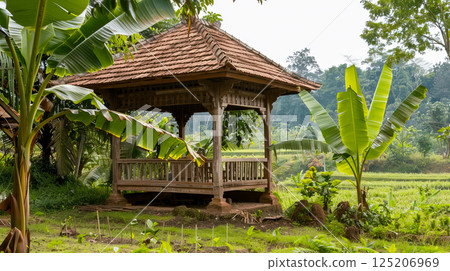Serene Wooden Gazebo in Lush Green Rice Field Amidst Tropical Plants Serene Wooden Gazebo in Lush Green Rice Field Amidst Tropical Plants 125206969