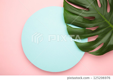 Tropical leaves Monstera on pink background. Frame, space for text Tropical leaves Monstera on pink background. Frame, space for text 125206976