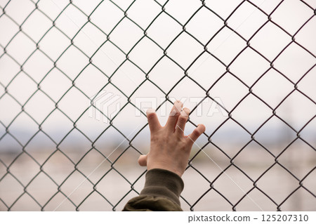 Person holding wire mesh 125207310
