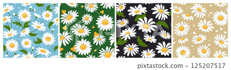 Chamomile daisy flower seamless patterns. Daisies bloom, summer garden blossoms and field flowers. Nature botanical cartoon wallpaper and floral fabric print vector background set 125207517