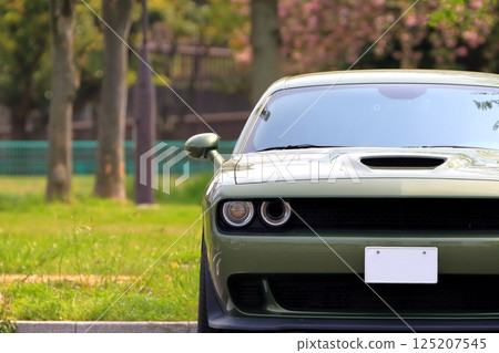 American sports car image American sports car image 125207545