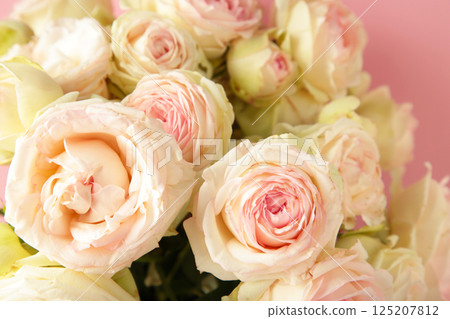 Bouquet of soft white roses on pink background. Floral still life with roses. 125207812