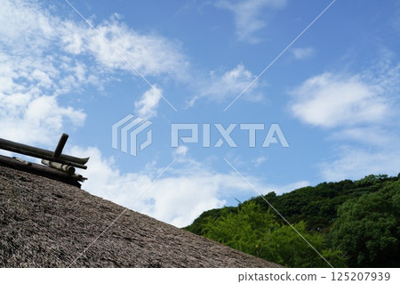 Thatch roof and blue sky Thatch roof and blue sky 125207939