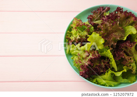 Fresh red and green lettuce on mint plate on pink background. 125207972