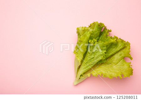 Fresh green lettuce leaves on pink background. Space for text Fresh green lettuce leaves on pink background. Space for text 125208011