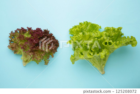 Fresh green and red lettuce leaves on blue background. Space for text 125208072