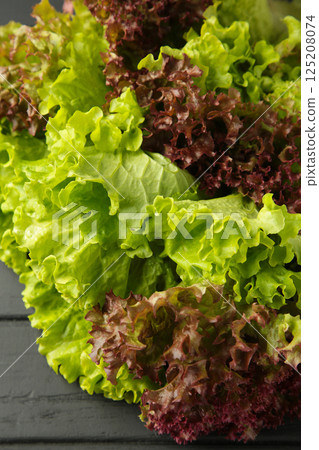 Fresh red and green lettuce on black wooden background. Vertical photo Fresh red and green lettuce on black wooden background. Vertical photo 125208074
