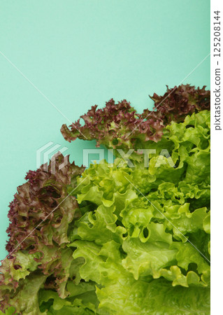 Fresh red and green lettuce on mint background. Vertical photo 125208144