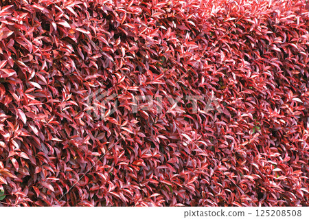 Kaname備忘錄（必填） 125208508