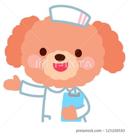 Cute dog nurse doctor poodle Cute dog nurse doctor poodle 125208583
