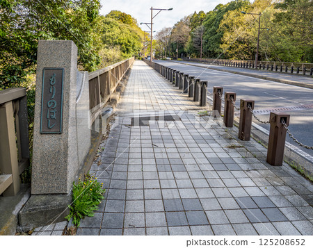 Plaque for the road bridge "Mori no Hashi" that spans the "21st Century Forest and Square" in Matsudo City, Chiba Prefecture Plaque for the road bridge "Mori no Hashi" that spans the "21st Century Forest and Square" in Matsudo City, Chiba Prefecture 125208652