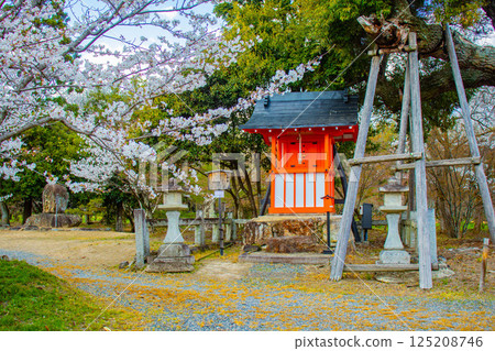 【京都風光】大覺寺~大澤池櫻花盛開 【京都風光】大覺寺~大澤池櫻花盛開 125208746