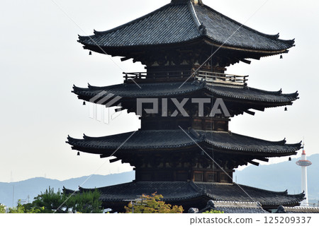 八坂塔、法觀寺、五重塔 [重要文化財產] 125209337