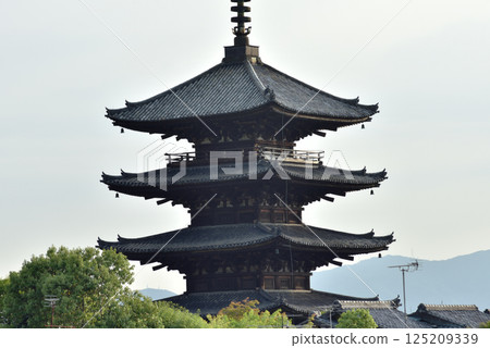 八坂塔、法觀寺、五重塔 [重要文化財產] 125209339