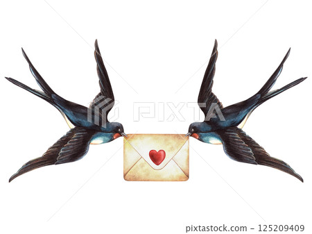 Swallows birds Valentine's day love envelope with heart in vintage style. Watercolor illustration with romantic letter. Perfect for postcard, Valentine's day or wedding decoration, spring arrangement Swallows birds Valentine's day love envelope with heart in vintage style. Watercolor illustration with romantic letter. Perfect for postcard, Valentine's day or wedding decoration, spring arrangement 125209409