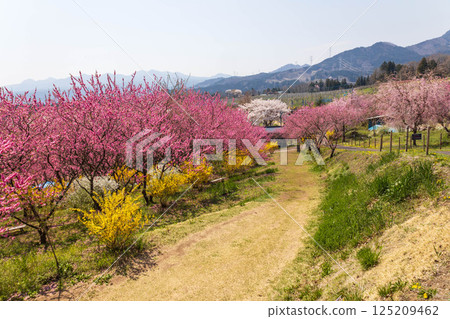 Spring Nakanojo Gardens Hanamomo no Oka 125209462