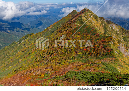 Mt. Hoshu with autumn leaves as seen from Daigura Ridge in the Iide Mountain Range Mt. Hoshu with autumn leaves as seen from Daigura Ridge in the Iide Mountain Range 125209514