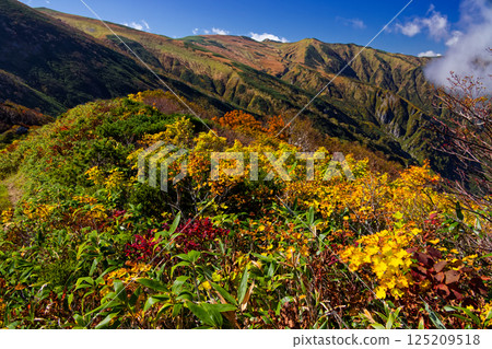 飯豐山脈的紅葉－從大藏山脊望去的主要山脊線 125209518