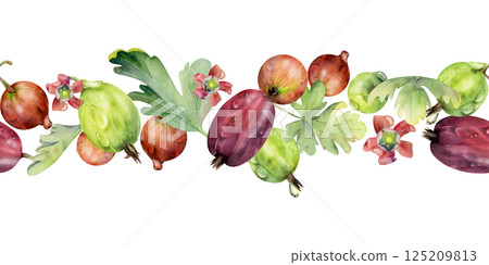 Gooseberry Currant garden berries leaves flowers in water dew drops hand drawn in watercolor. Seamless isolated banner garland. Home preserves, textile stationery, food store decor, recipe book, menu Gooseberry Currant garden berries leaves flowers in water dew drops hand drawn in watercolor. Seamless isolated banner garland. Home preserves, textile stationery, food store decor, recipe book, menu 125209813