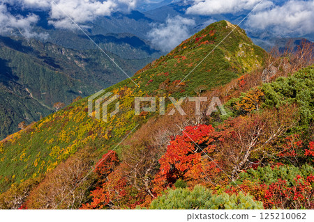 Autumn-colored Iide mountain range and Mount Hoshu seen from Daigura Ridge Autumn-colored Iide mountain range and Mount Hoshu seen from Daigura Ridge 125210062