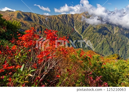 飯豐山脈的秋色：從大藏山脊望去，主山脊上雲霧繚繞 125210063