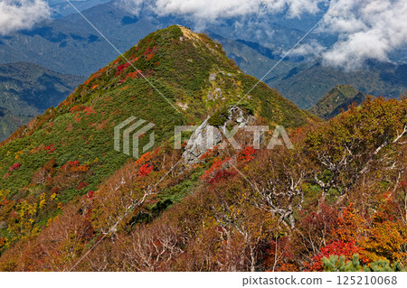 Mt. Hoshu with autumn leaves as seen from Daigura Ridge in the Iide Mountain Range 125210068