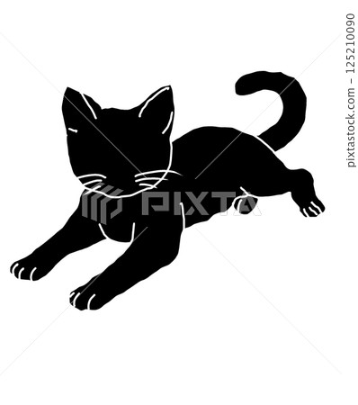 Black cat Black cat 125210090