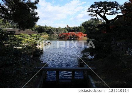 栗林公園的紅葉（12月上旬，南港） 125210114